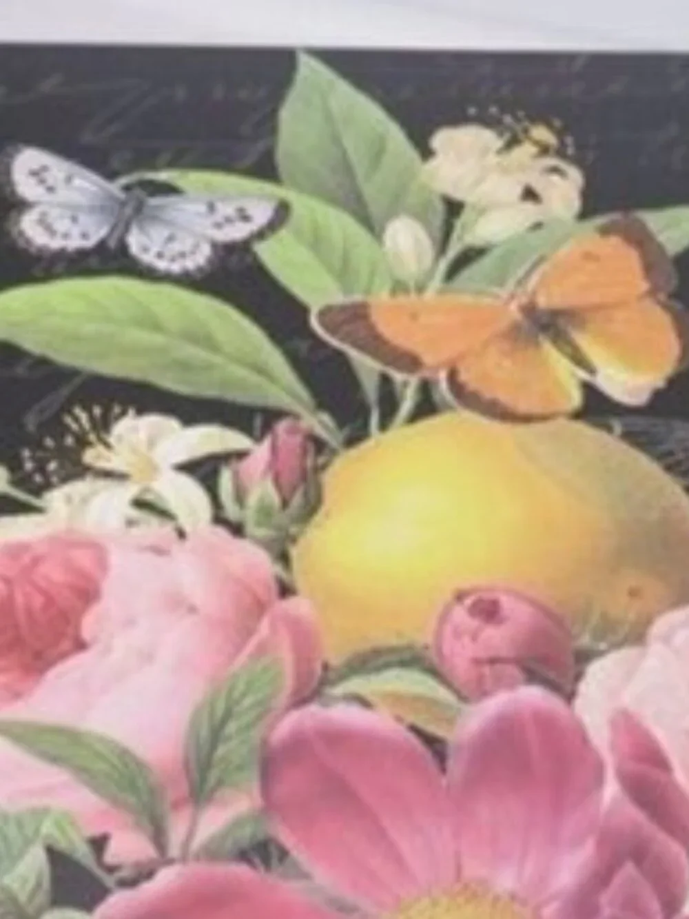 VTG Victorian Black Botanical Floral & Fruit Gift Box Storage 11x8 With Bow